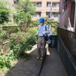 埼玉県、さいたま市北区一軒家での作業事例