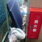 春日部市|マンション裏の不法投棄を安全に即日回収