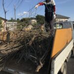草木の伐採処分作業「家のゴミ、庭のゴミお任せください」