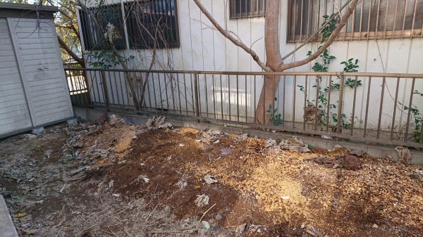 植木鉢やプランターの片付け後