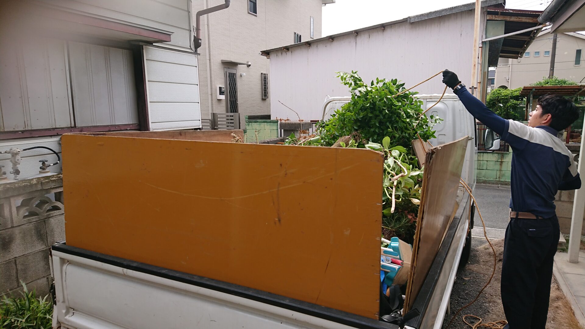 草木伐採と不用品回収