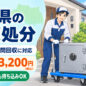 金庫処分サムネイル